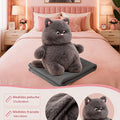 Peluche Almohada con Frazada Térmica 2 en 1 | Manta Suave de Poliéster (50x30 cm)