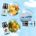 Aceites de Fragancia Premium HANOLLY – Colección Especializada (Laundry, CEO Men, Ocean & Coast)