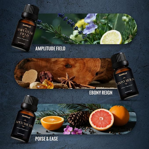 Aceites de Fragancia Premium HANOLLY – Colección Especializada (Laundry, CEO Men, Ocean & Coast)