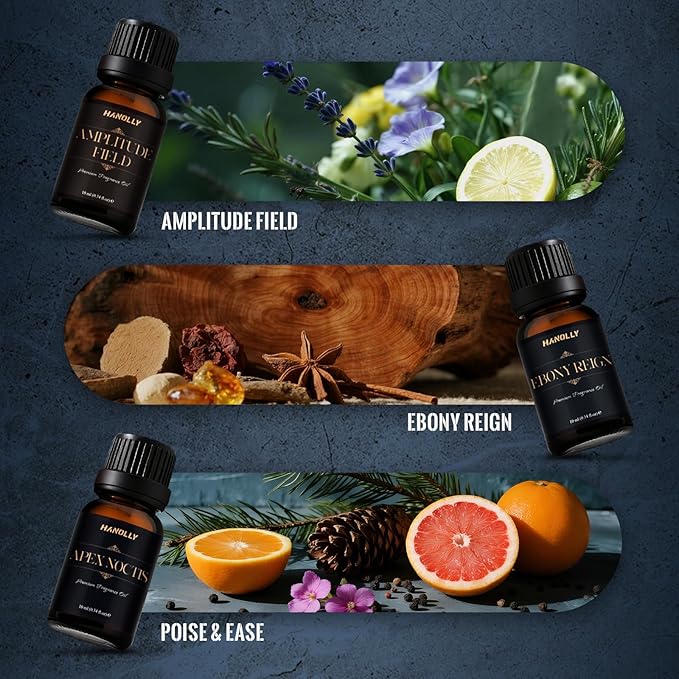 Aceites de Fragancia Premium HANOLLY – Colección Especializada (Laundry, CEO Men, Ocean & Coast)