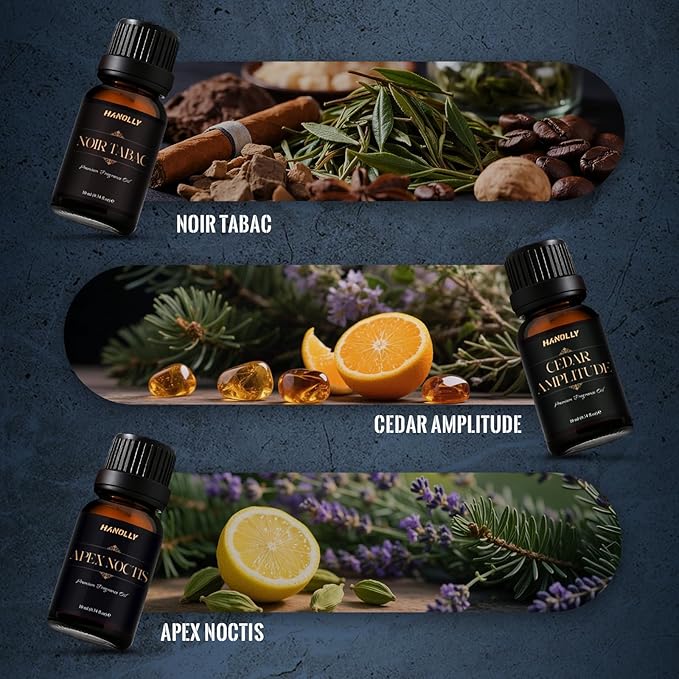 Aceites de Fragancia Premium HANOLLY – Colección Especializada (Laundry, CEO Men, Ocean & Coast)