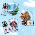 Aceites de Fragancia Premium HANOLLY – Colección Especializada (Laundry, CEO Men, Ocean & Coast)