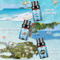 Aceites de Fragancia Premium HANOLLY – Colección Especializada (Laundry, CEO Men, Ocean & Coast)
